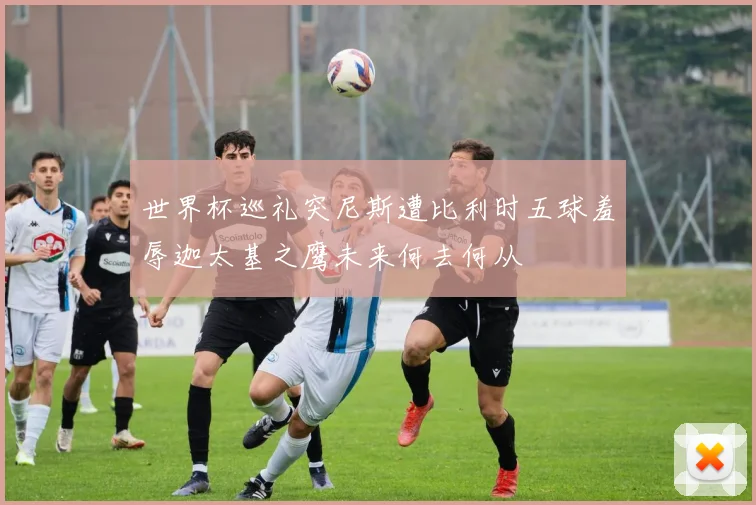 世界杯巡礼突尼斯遭比利时五球羞辱迦太基之鹰未来何去何从