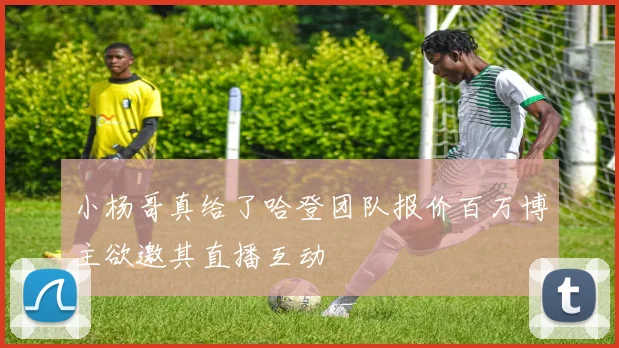 小杨哥真给了哈登团队报价百万博主欲邀其直播互动